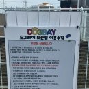 도그베이 동탄호수공원점 | 오산애견카페/아찌와함께 도그베이 오산점 방문~~!