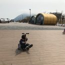 도현이네 농장 이미지