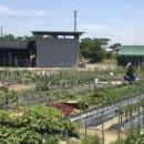 마을농장 이미지