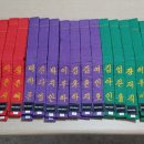 국가대표 태권 스포츠 이미지