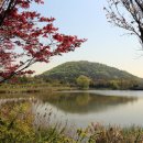 늠내길4코스 바람길 이미지