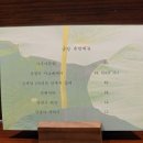 하스노하