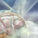 남영라끄빌 | 부천과일찹쌀떡 포장 후기 순이케이크 딸기모찌 맛집 추천