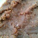 에버그린농장 이미지