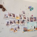 하이슈슈 이미지