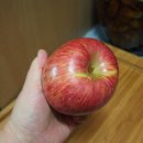 얼음골이야기 이미지