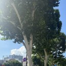 광야 | 광야 후기