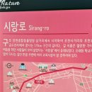 시랑로 이미지