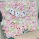 베스트강북애견미용학원 이미지