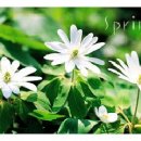 최강두리 태권도장 이미지