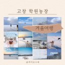 무주농장 | 한국의 비에이, 고창 학원농장 아이랑 주말 겨울 눈 실시간 후기 주차