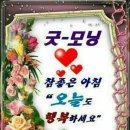 실버레크댄스 이미지