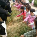 원아목장 이미지