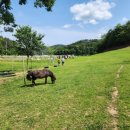 대산목장 이미지