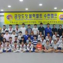 조선태권도장 네이버블로그