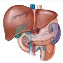 소망한의원 이미지