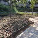 단구동행정복지센터 이미지