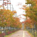 17호공원 이미지