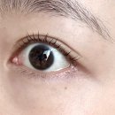 뷰티 다옴 | 아내의 나들이 속눈썹 펌 다옴뷰티 후기 [내돈내산]