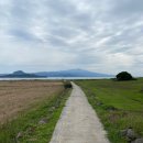 제주 올레길 10-1코스 이미지