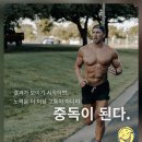 (주)온웨어 | 26년 1월 운동하기(17번) _ 여자 운동복 추천, 잇존, 콘치웨어, 나일로라, 위뜨(HUIT),alo