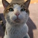 부산당곡공원 이미지