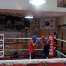 쌍룡복싱체육관 이미지