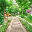 숲속 정원 이미지