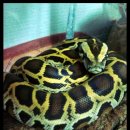 하계역(7호선) 이미지