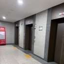 아너스튜디오 | 강서구 셀프사진관 애견동반 가능한 부록스튜디오 후기