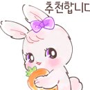 힐링캣 이미지