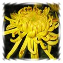 태관