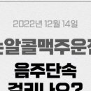 광코포차 이미지