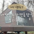 고원건축사사무소 | 태백고원자연휴양림 트리하우스 5호에서 보낸 하루