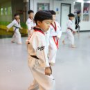 한미태권도 이미지