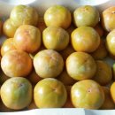 마이비한의원 이미지