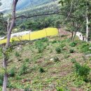 행렬농장 이미지