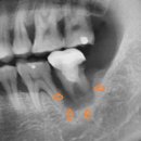 경대본치과의원 이미지