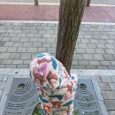 남춘천면옥 | 11월 일상