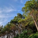 라메르해남 이미지