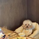 모퉁이주방 이미지