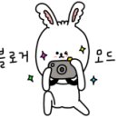 리얼허브애견카페 이미지