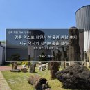 엑스포박람회장 | 경주 엑스포 자연사 박물관 관람 후기_지구 역사의 신비로움을 전하다
