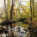 이지라이프 이미지