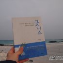 굿니스(GOOD NESS)