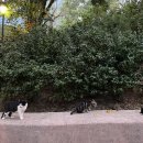 구룡공원 화장실 이미지