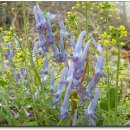 상천3리 마을회관 이미지