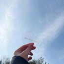 순천로뎀의원 이미지