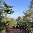 알프스농원 캠핑장 이미지