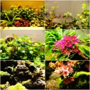 폴로(POLO)관광호텔 이미지